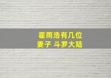 霍雨浩有几位妻子 斗罗大陆